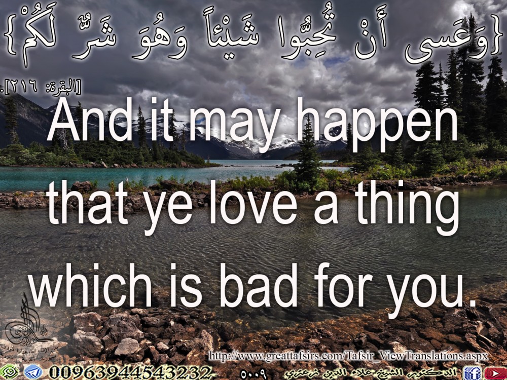 {وَعَسى أَنْ تُحِبُّوا شَيْئاً وَهُوَ شَرٌّ لَكُمْ} [البقرة 216].. إنكليزي.